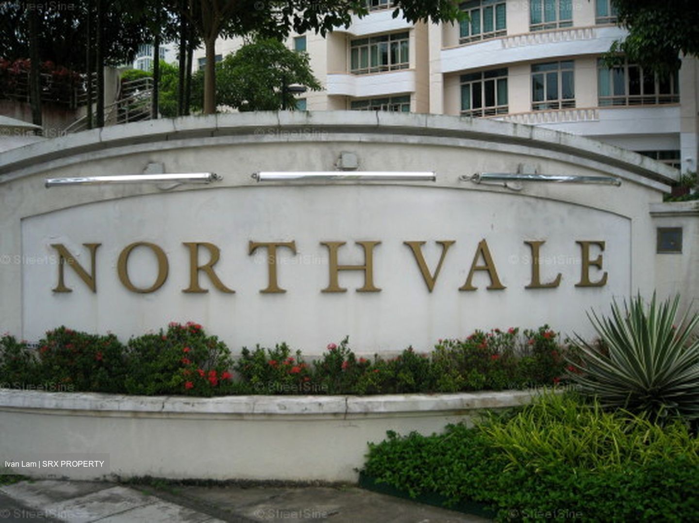 Northvale (D23), Apartment #558827901